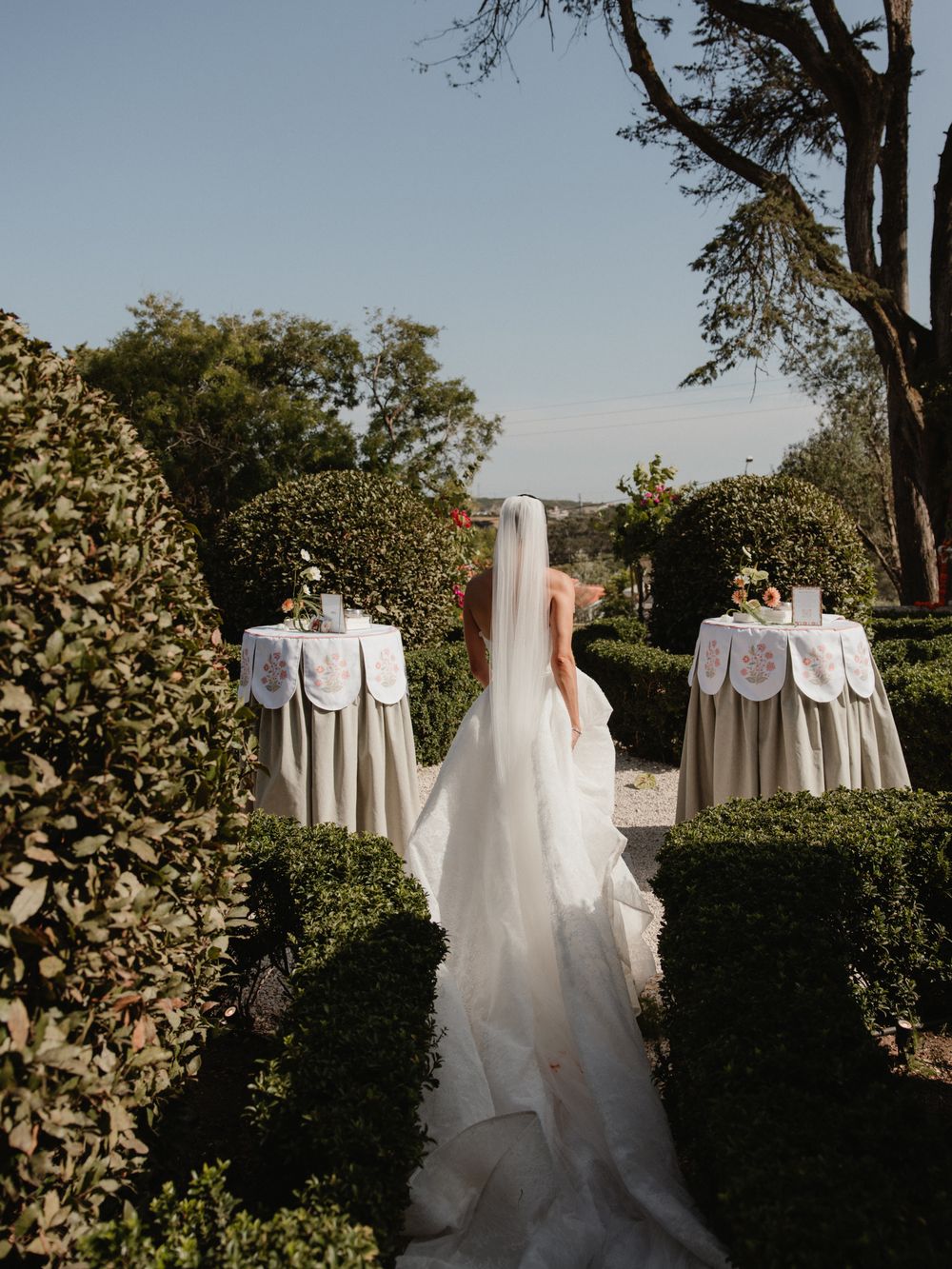A bride walking away between two skirted tables in a clipped box garden, her veil trailing behind her
